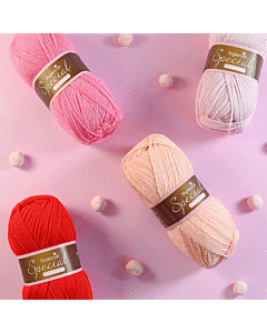 Stylecraft Special DK Strawberry Bon Bon Colour Pack - 8 x 100g Balls  800g