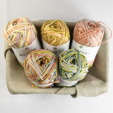 Ricorumi DK 5 Piece Yarn Colour Pack Multi Print - 180g