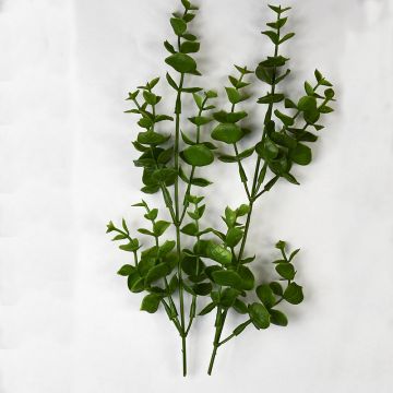 Eucalyptus Spray Green 10cm